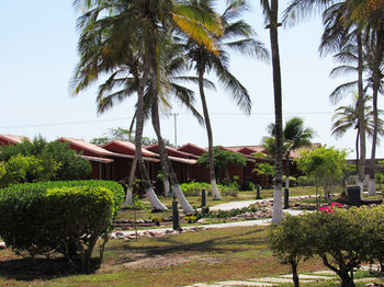 Hotel Coche Paradise