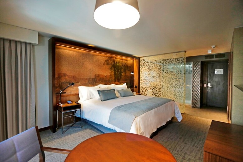 Hotel Cumbres Lastarria