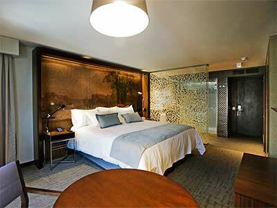 Hotel Cumbres Lastarria