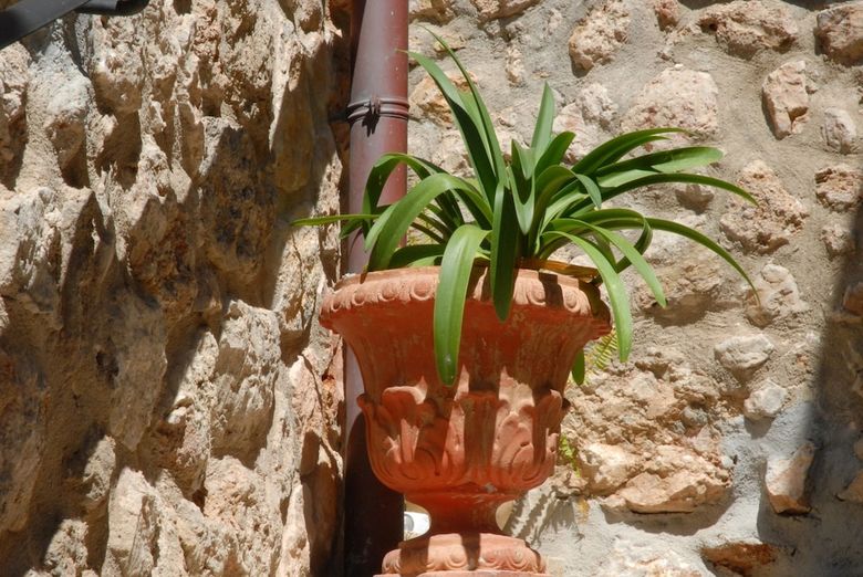 Hotel Sa Vall Valldemossa