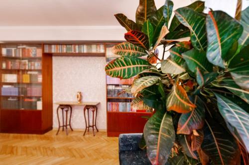 Anna Riga Apartment