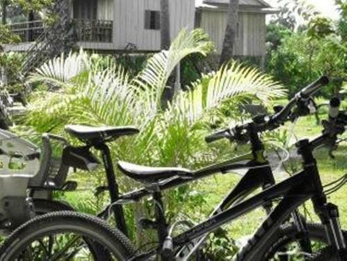 Champa Lodge