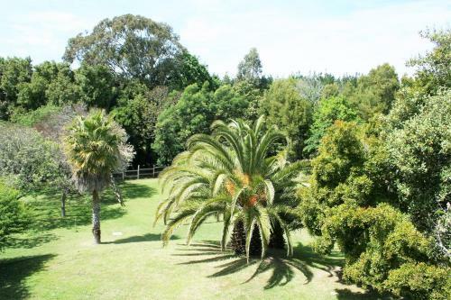Hostal Ibis House