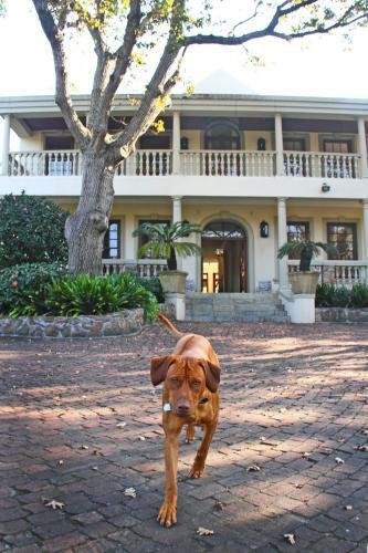 Hostal Ibis House