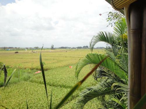 Sejuk Beach Villas