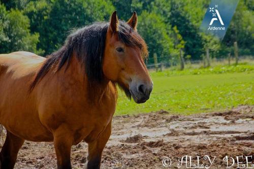 Agroturismo La Ferme D'a Yaaz