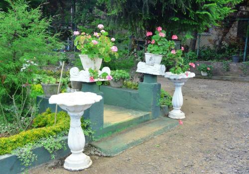 Bed & Breakfast Princess Bungalows