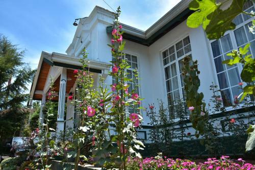 Bed & Breakfast Princess Bungalows