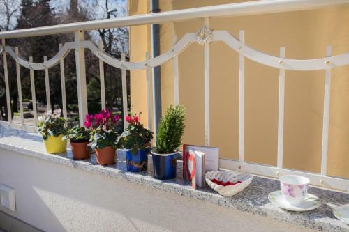 Shabby Chic Apartments