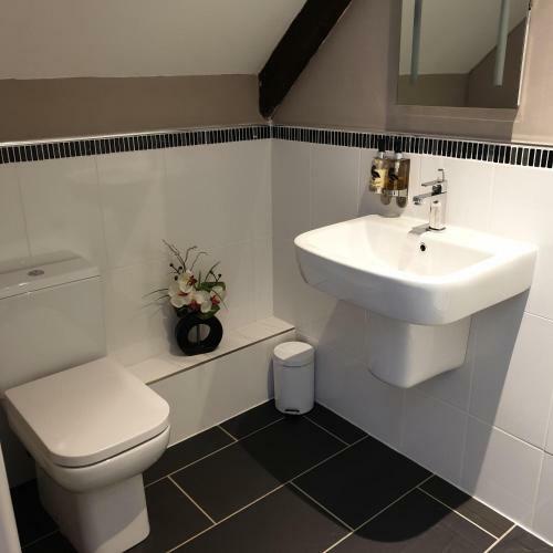 The Alpaca B&B