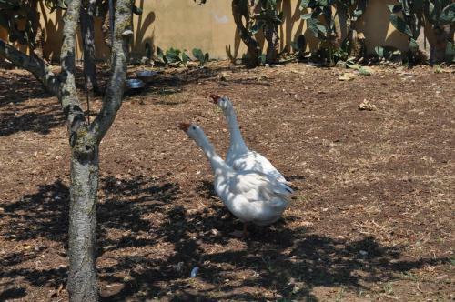 Bed & Breakfast Giardini Di Marzo