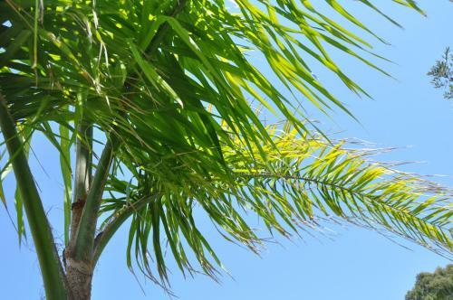 Bed & Breakfast Giardini Di Marzo