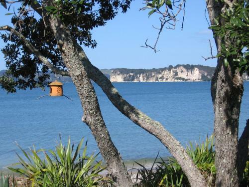 Motel Beachfront Resort