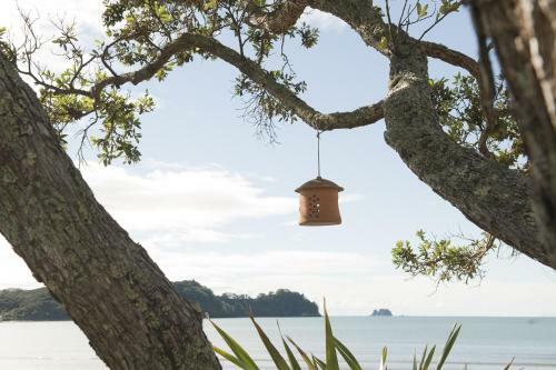 Motel Beachfront Resort