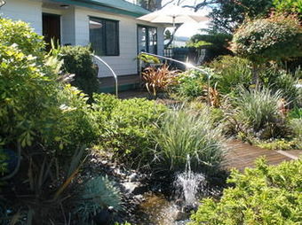 Andrea's Bed & Breakfast