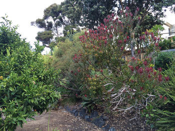Mangawhai Chalets