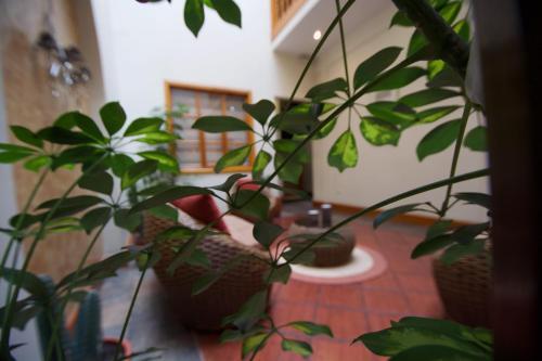 Hotel Casa Sucre