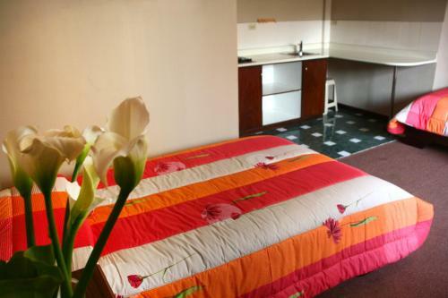 Hotel Rio Piedra
