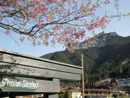 Hostal Pension Steinbock