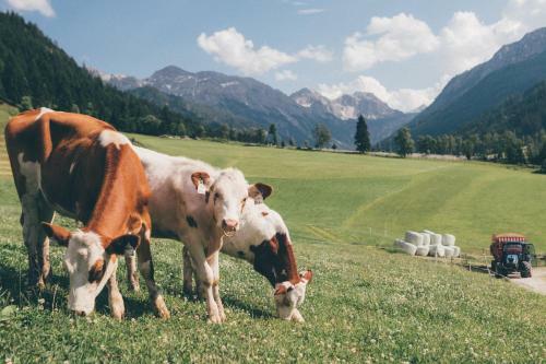 Agroturismo Ferienwohnungen Schwabhof