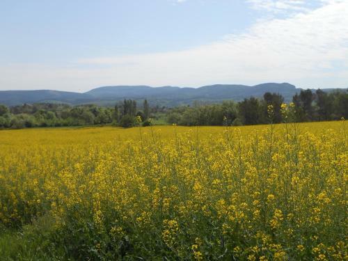 Bed & Breakfast La Grange Neuve