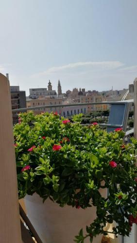 B&B Vistamare