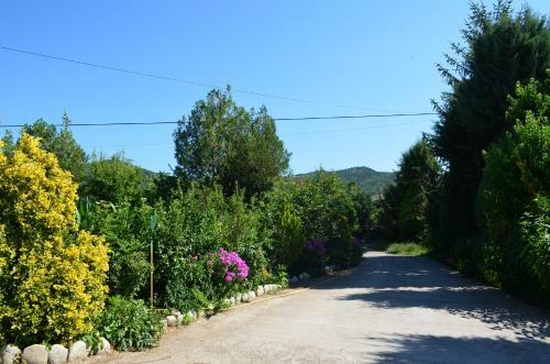 Agroturismo Casa Rural La Vall Del Cadi
