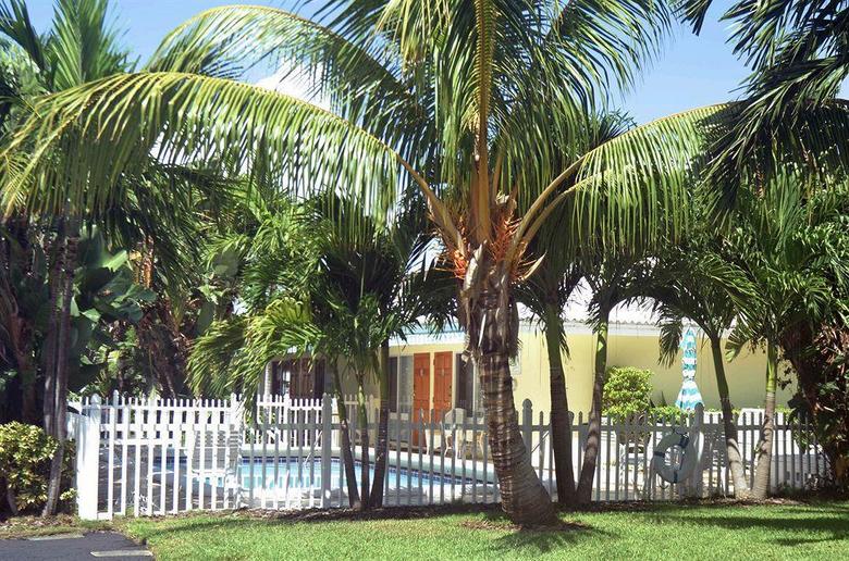 Apartamento Pineapple Place