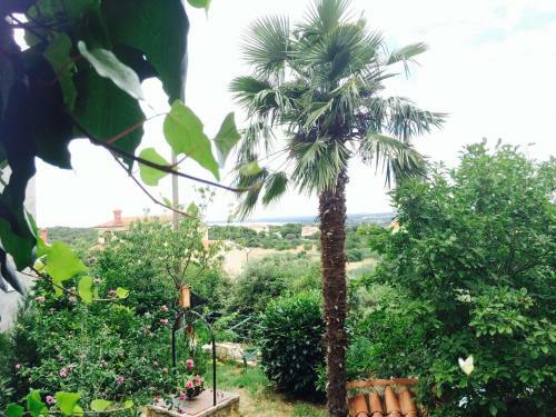 Hostal Guesthouse Sea View