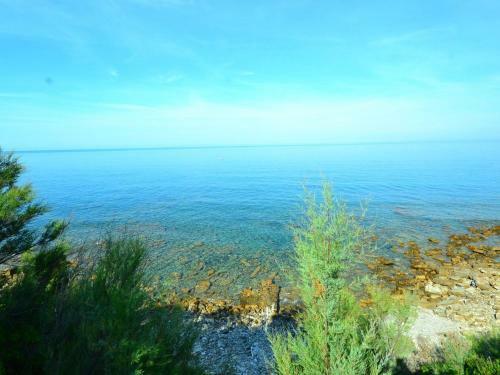 Ortolano