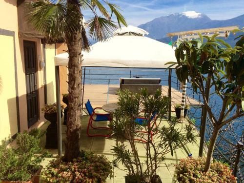 Apartments Excelsior