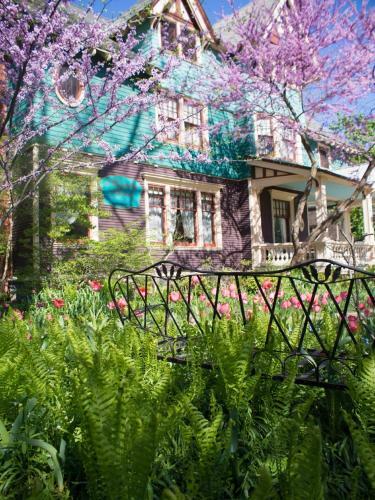 Bed & Breakfast The Murphy House