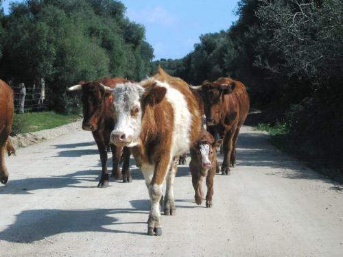 Agroturismo Finca San Ambrosio