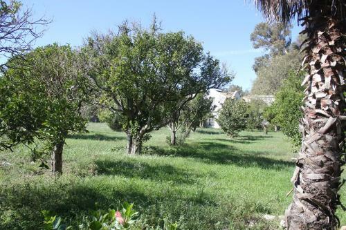 Agroturismo Finca San Ambrosio