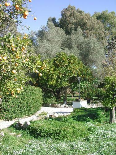 Agroturismo Finca San Ambrosio