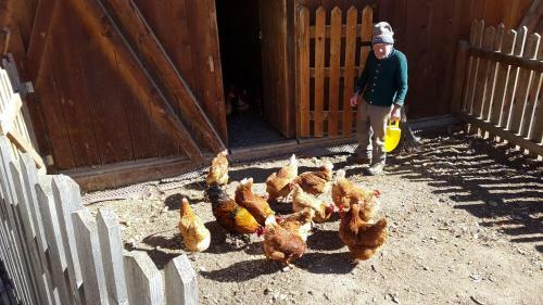Agroturismo Ferienwohnungen Kuentnerhof