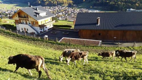 Agroturismo Ferienwohnungen Kuentnerhof