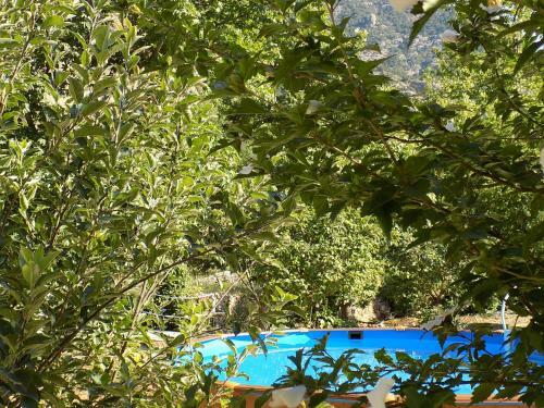 Hostal Guesthouse Eleftherios