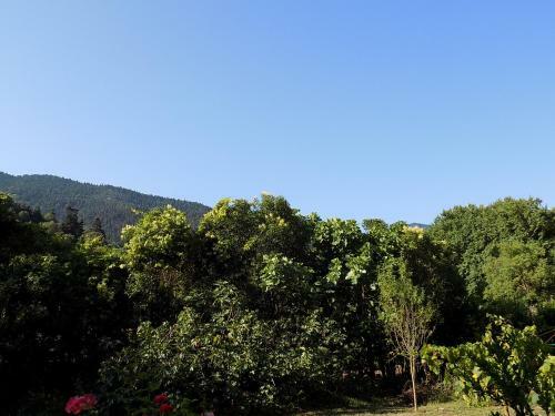 Hostal Guesthouse Eleftherios