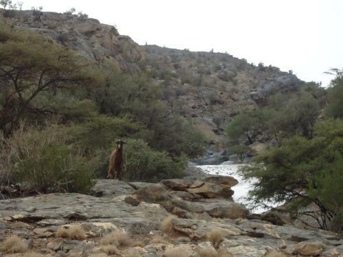 Hotel Jabal Shems Heights