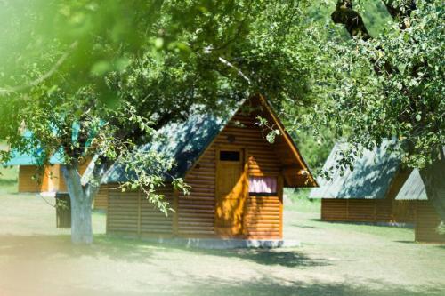 Kamp Tara 87