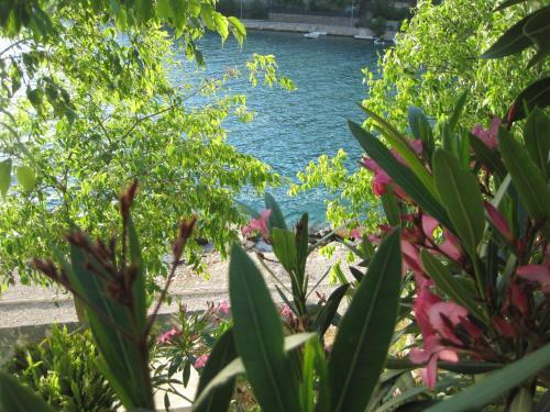 Hostal Villa Obad Guest House