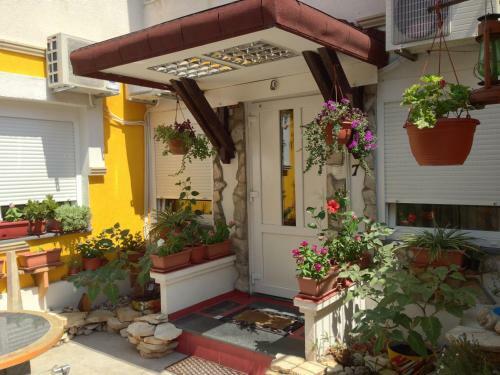 Hostal Guesthouse 7even