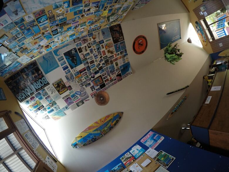 Albergue Cool Bananas Backpackers