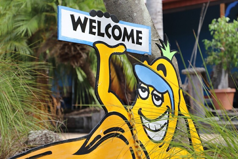 Albergue Cool Bananas Backpackers