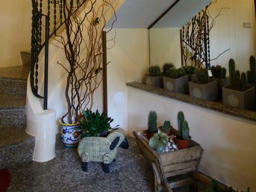 Hostal Affittacamere Andretta