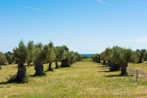 Agroturismo Dattilo