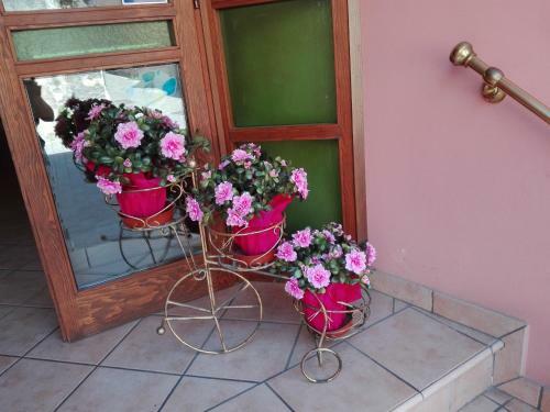 Hotel Albergo Giardino