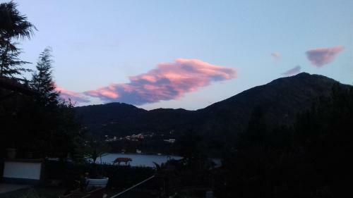 B&B Selve Di Rogaro