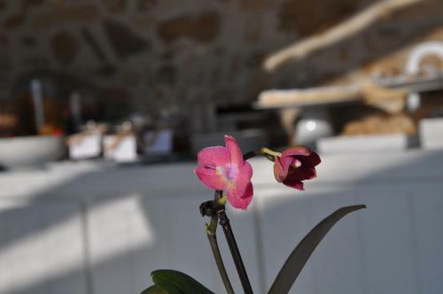 Bed & Breakfast Residenza Amblingh
